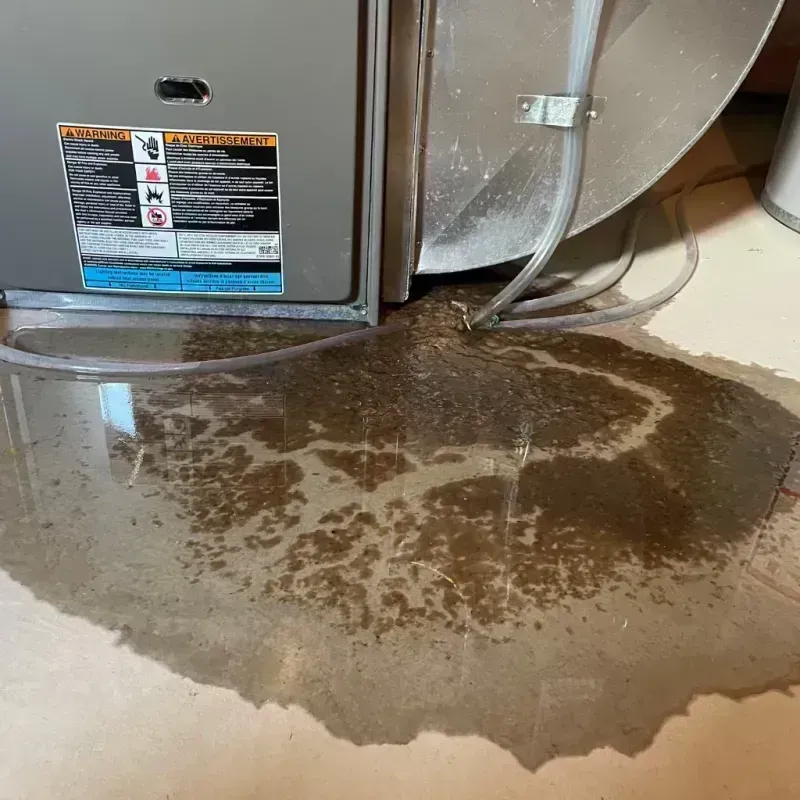 Appliance Leak Cleanup in Absarokee, MT